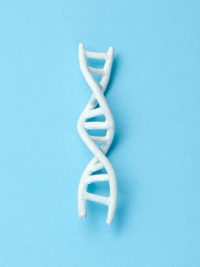 model of double helix DNA on blue background