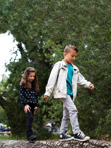 Kids hiking - walking on tree stump