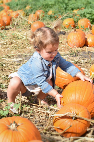 gracie-with-cochlear-implants-pumpkin-patch