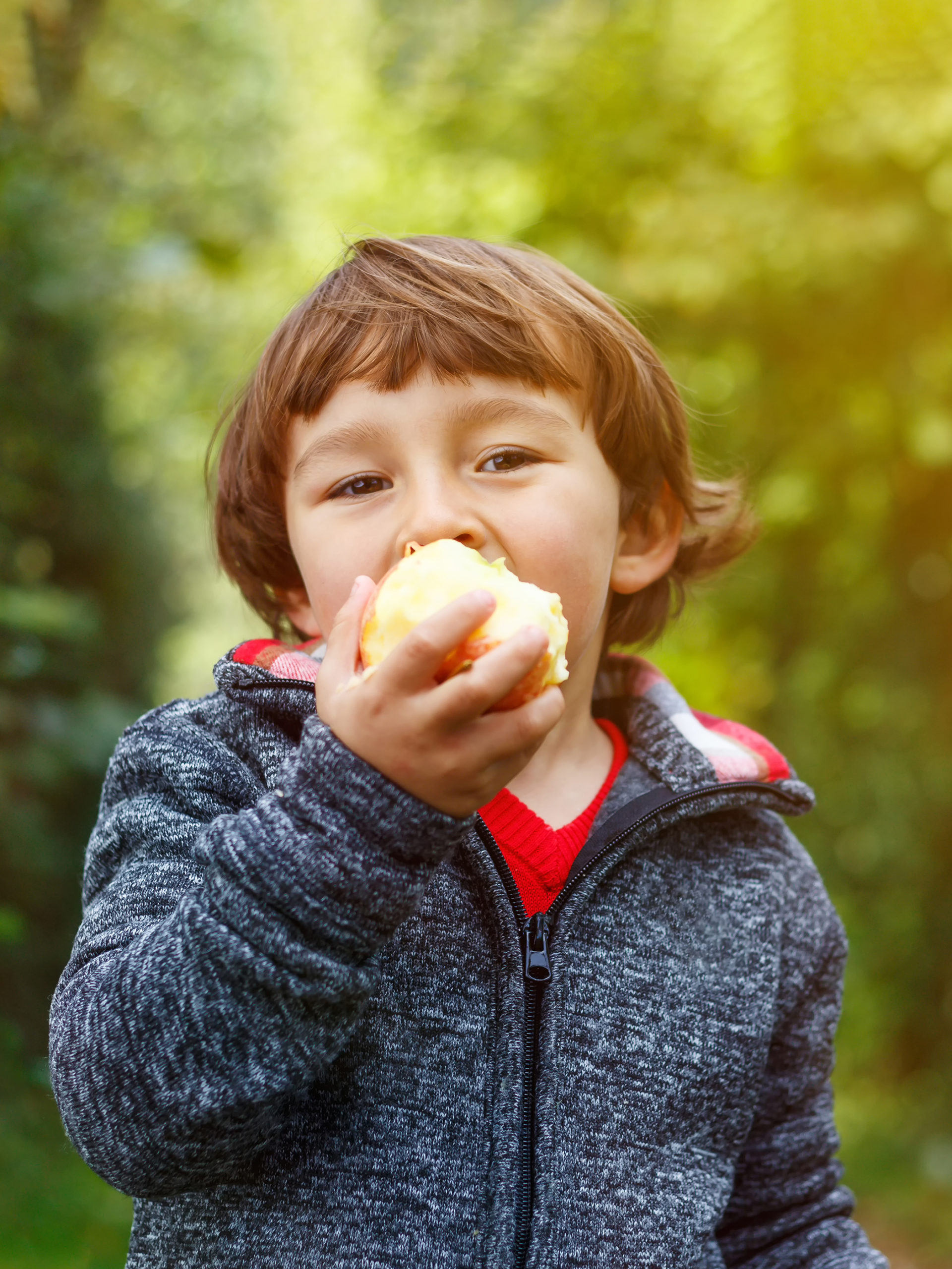 boy eating apple in front of a tree