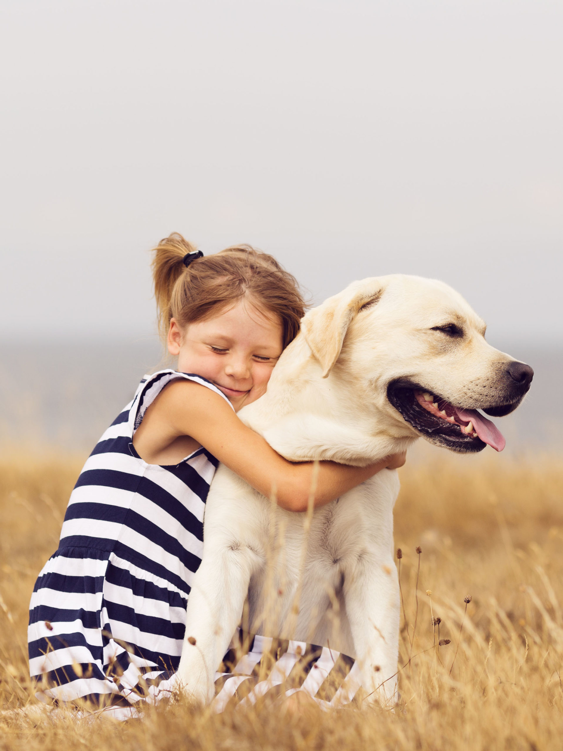 girl hugging her labrador retriever sitting in a field