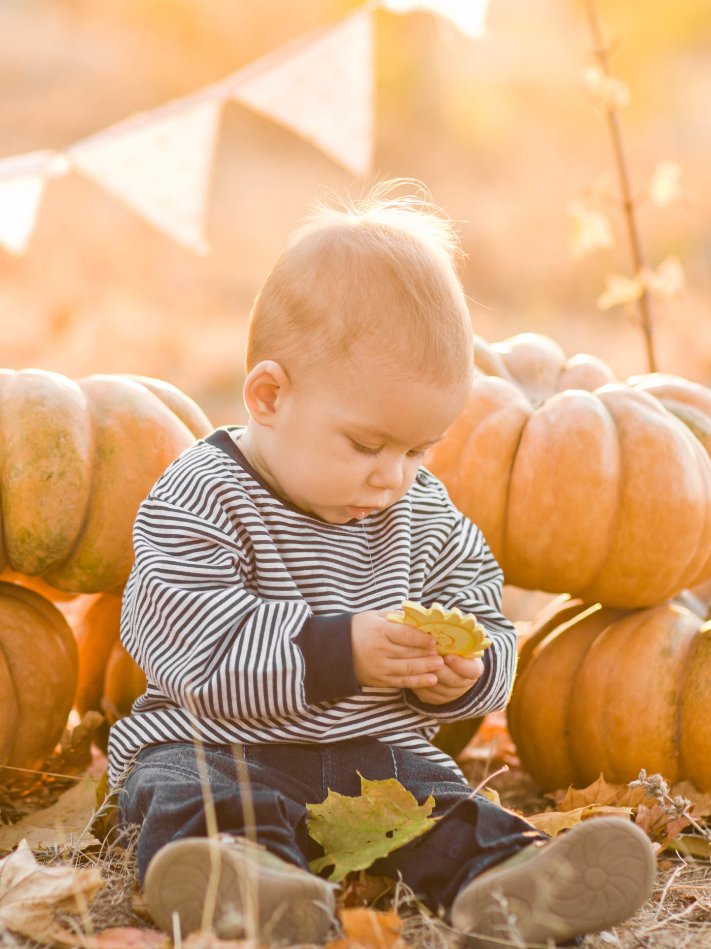 happy child playing at a pumpkin patch at sunset