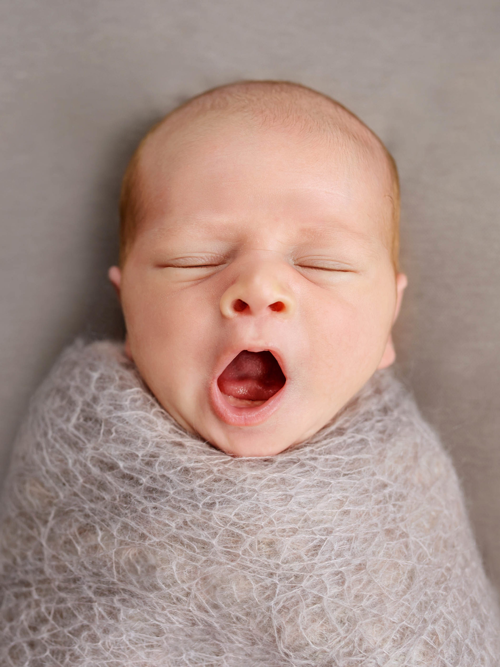 two week old baby swaddled and yawning