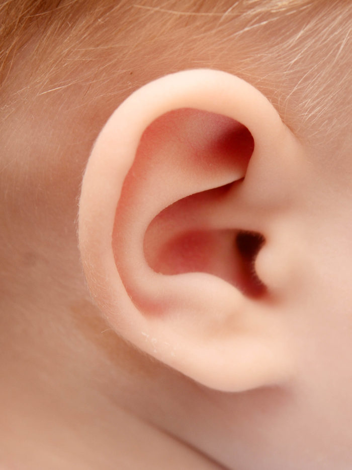 close up of baby girl's ear
