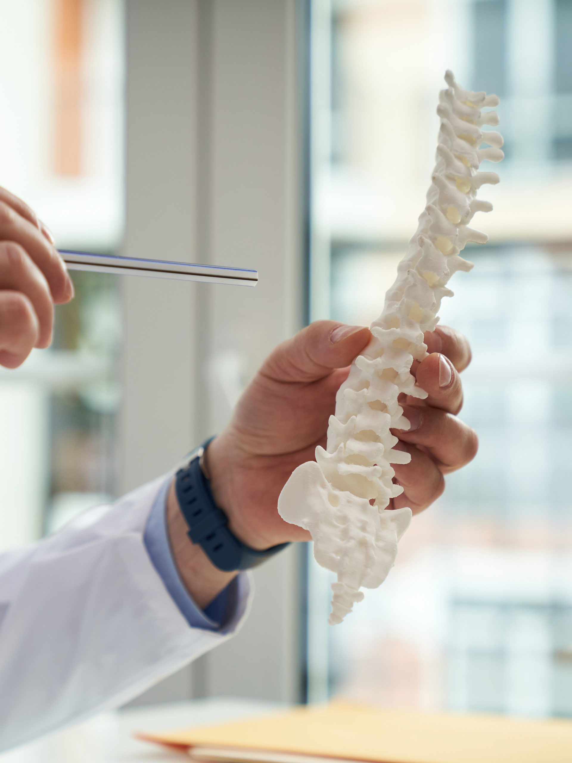 Healthcare worker holding a model of a human spine pointing to one of its segments