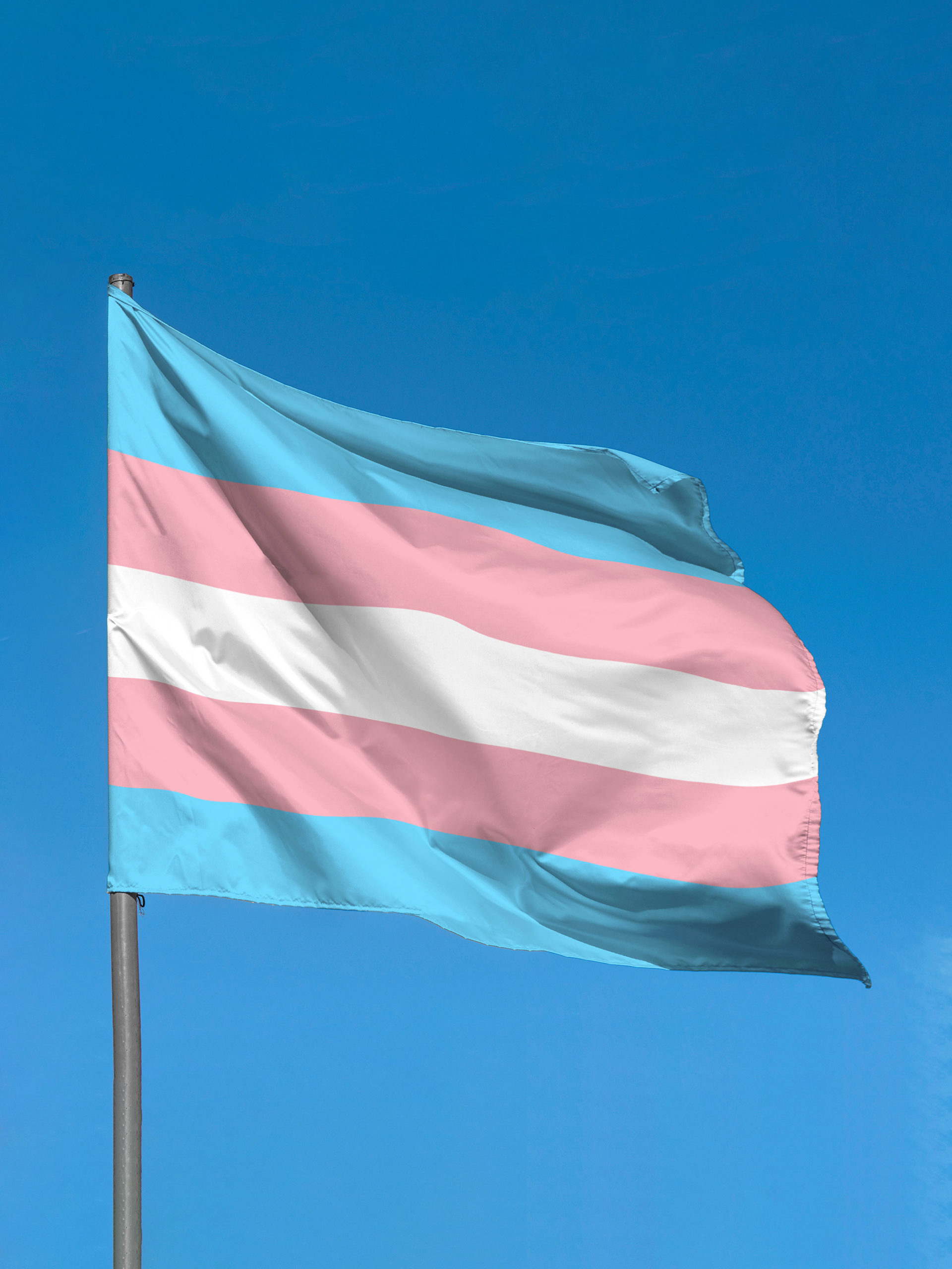 Transgender flag waving against blue sky