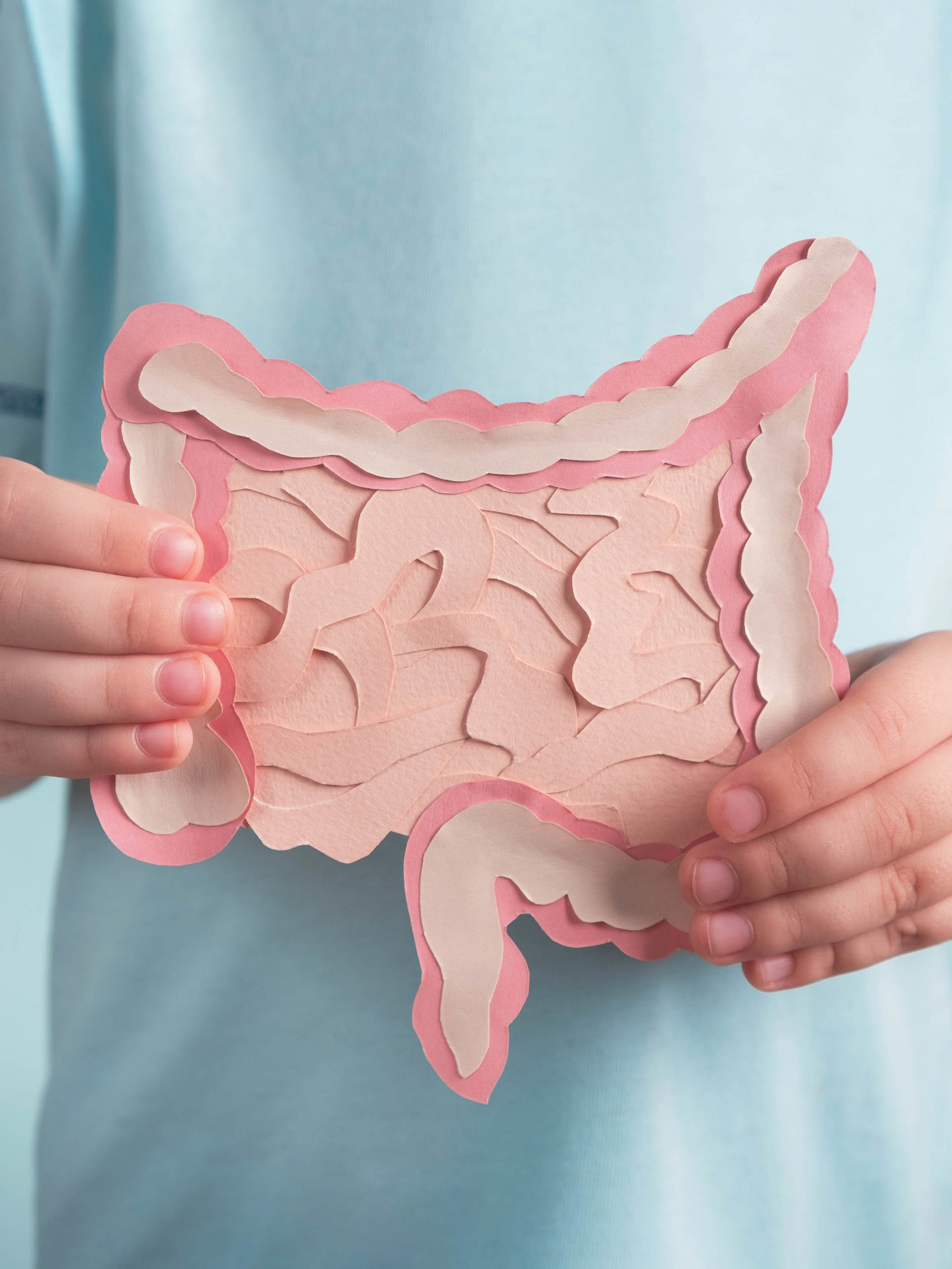 child holding paper cut out of large and small intestine
