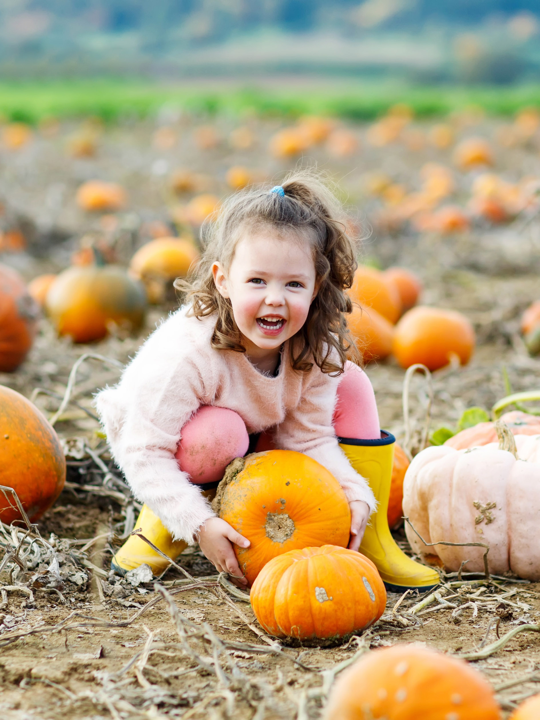 girl having fun picking a pumpkin at a pumpkin patch