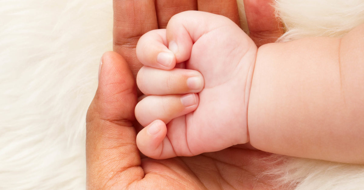 parent hand holding baby hand in palm