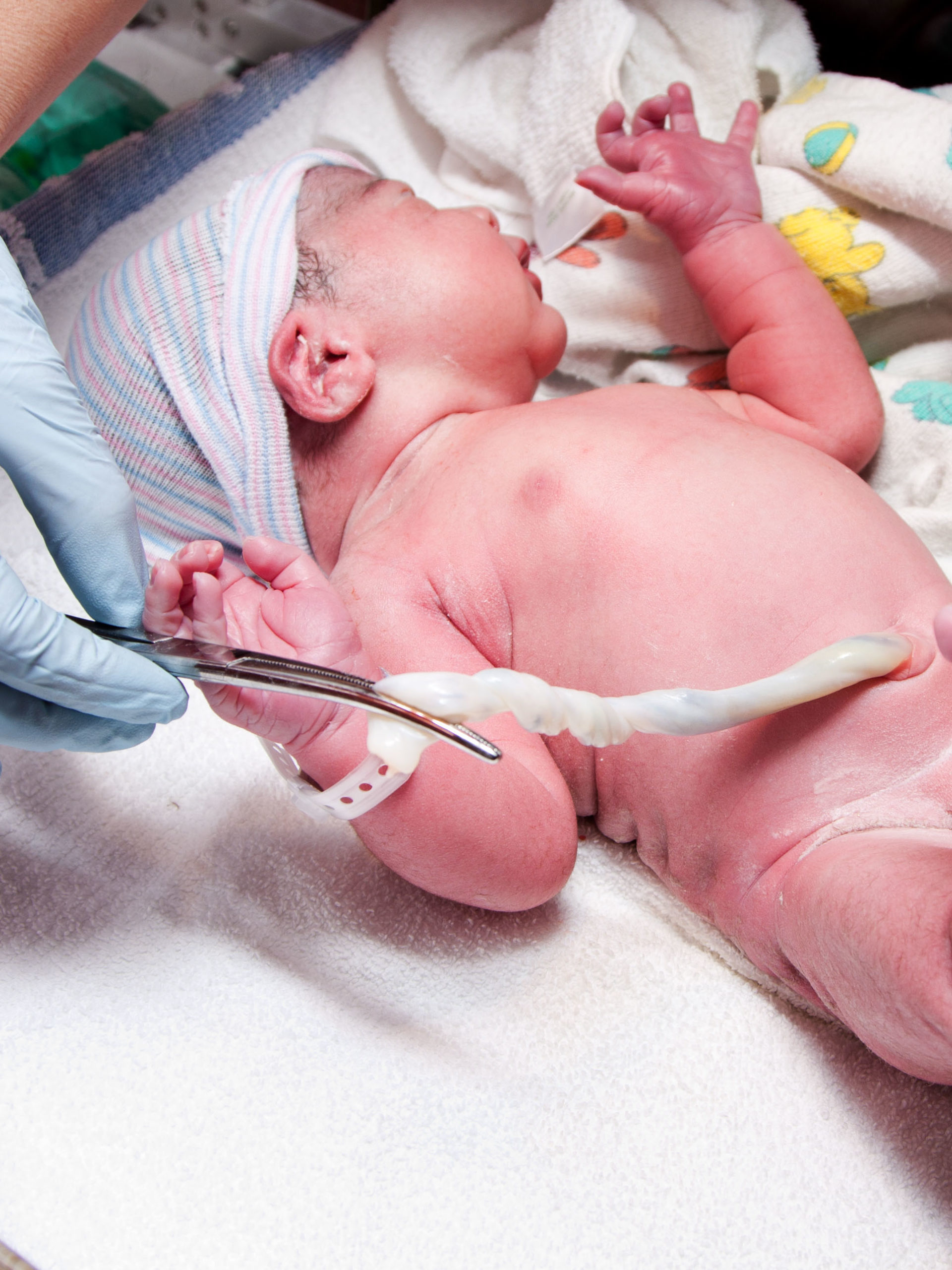 infant with adult hand holding clip on umbilical cord in hospital nursery