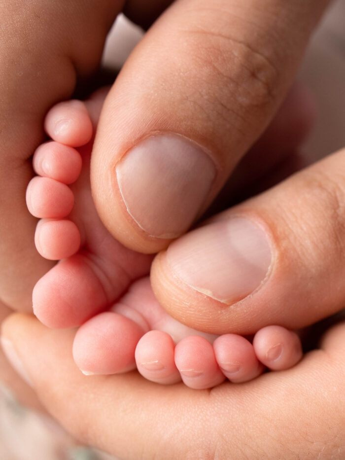 Navigating The Nicu Choc Children S Health Hub