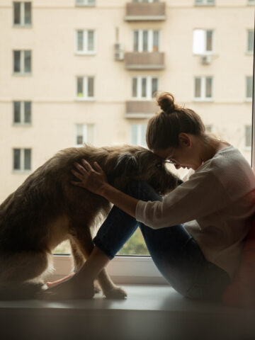 child and dog in the window looking sad