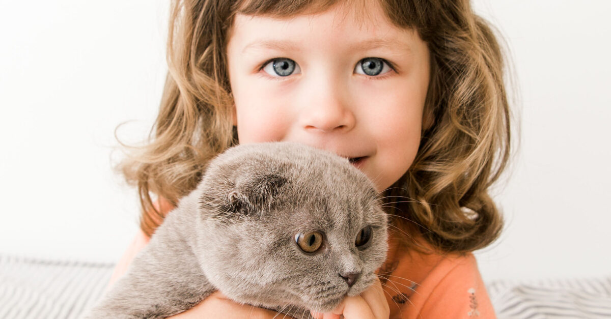 Asthma and Allergy Home Trigger Checklist CHOC Children's health hub