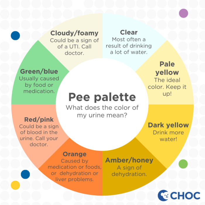 CHOC Pee Palette graphic - What does the color of my urine mean?