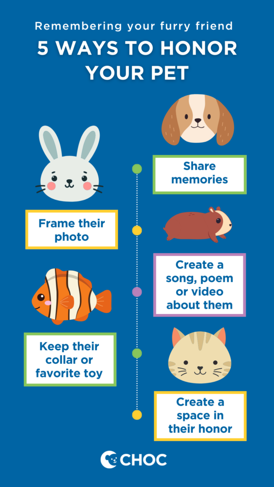 Graphic depicting 5 ways that kids and teens can honor their lost pet
