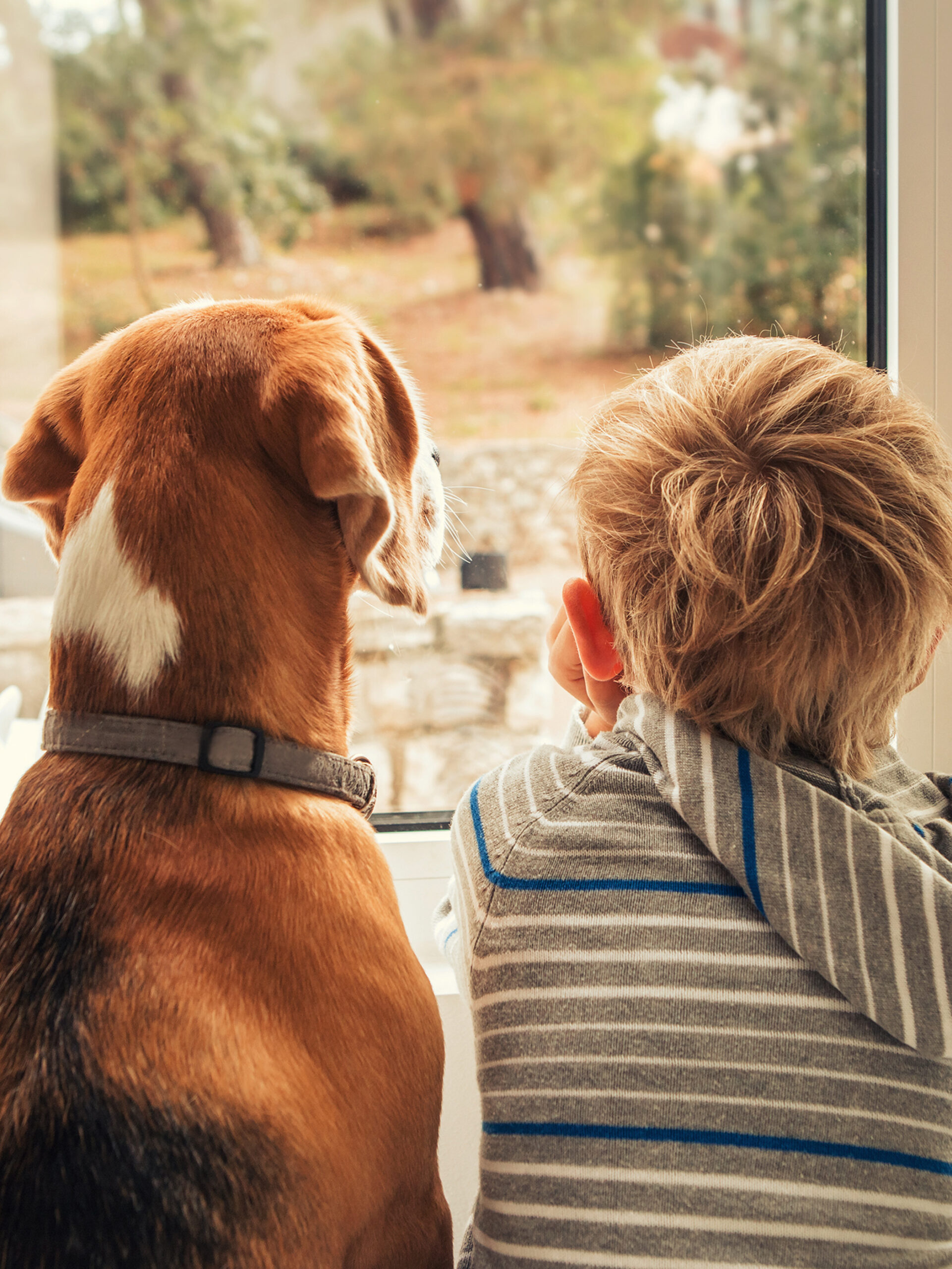 Child and dog look out the window - how to help your child grieve the loss of their pet. Advice from CHOC
