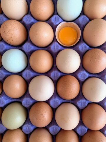 Are eggs good for kids?
