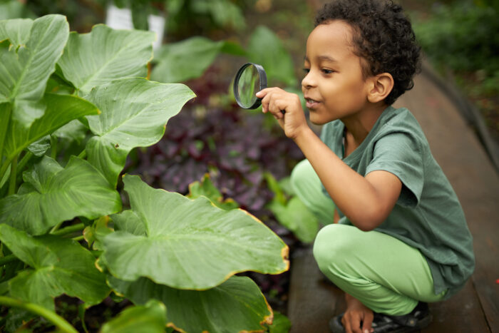 boy searching in nature with magnifying glass