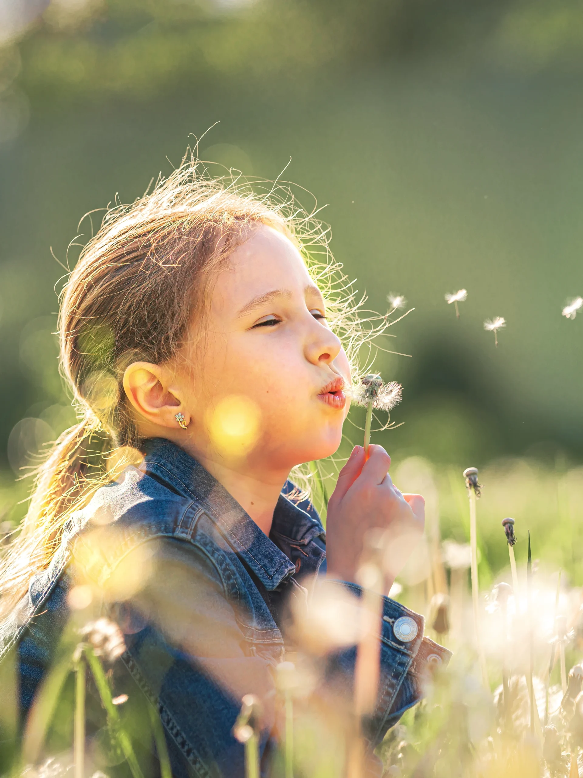 Child blows on dandelion