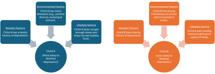 Example of how genetics and mental health in children, along with other factors, influence a child's mental health outcome.