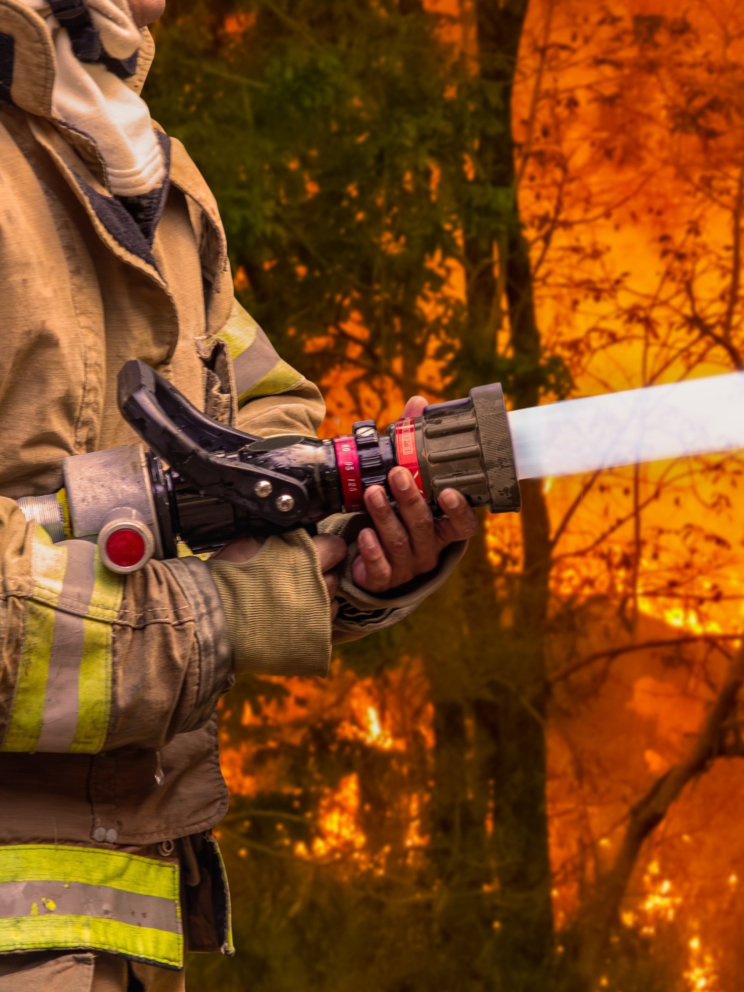 Firefighter sprays water to bushfire to reduce wildfire exposure and contain the danger.