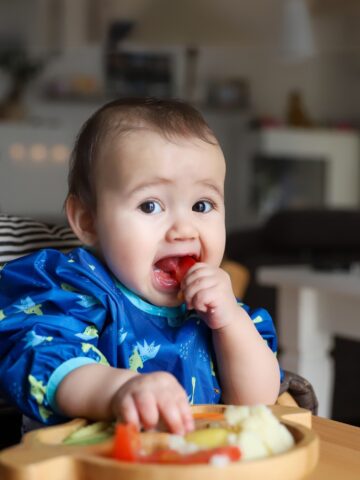 Baby-Led Weaning Guidelines