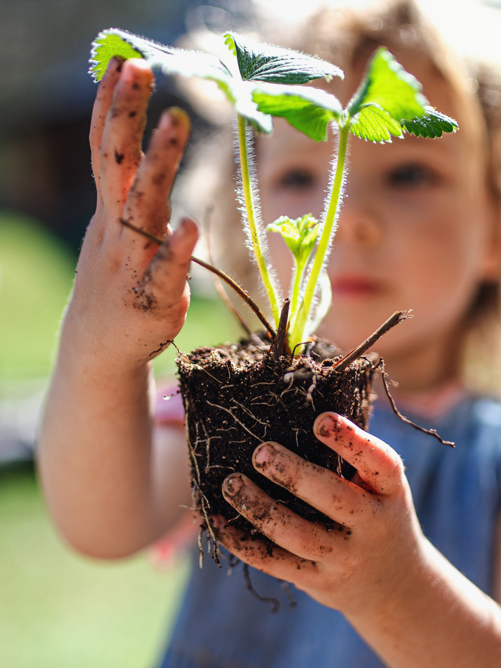 Child with plant