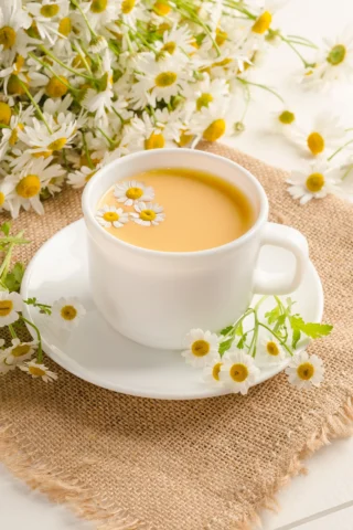 Chamomile Coconut Dream