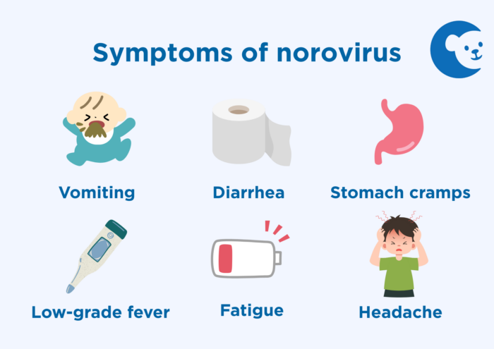 What are the symptoms of norovirus in children?