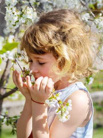 How are nature and mental health linked?
