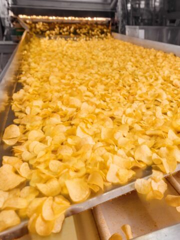 Everything you need to know about processed foods and feeding your child