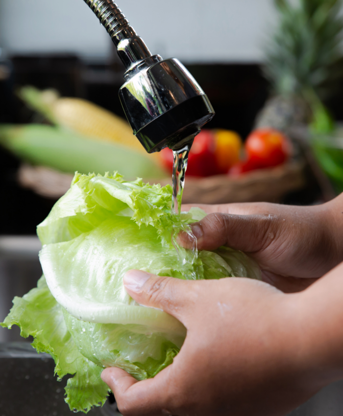 parent washing head of lettuce under running water in sink