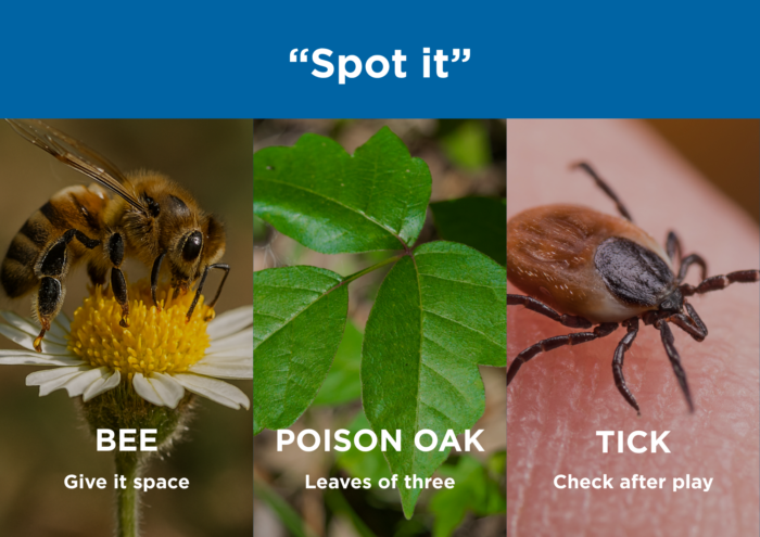 A quick “spot it” image row (poison oak leaf, tick, bee) helps parents identify fast.