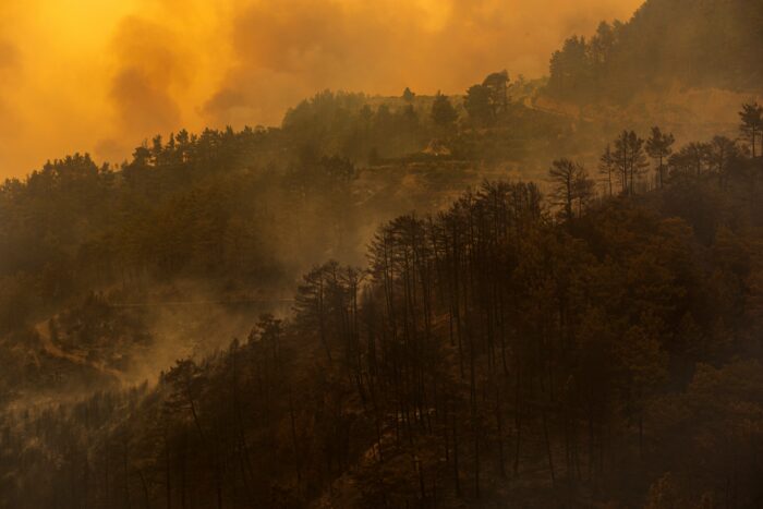 Forest Fire: The Greatest Disaster of the Century. Nature and Animals Lost in Flames. Firefighting efforts. Air and land helicopters, firefighting planes and fire trucks. global disaster